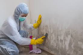 Mountain Lake Park, MD Mold Remediation Company